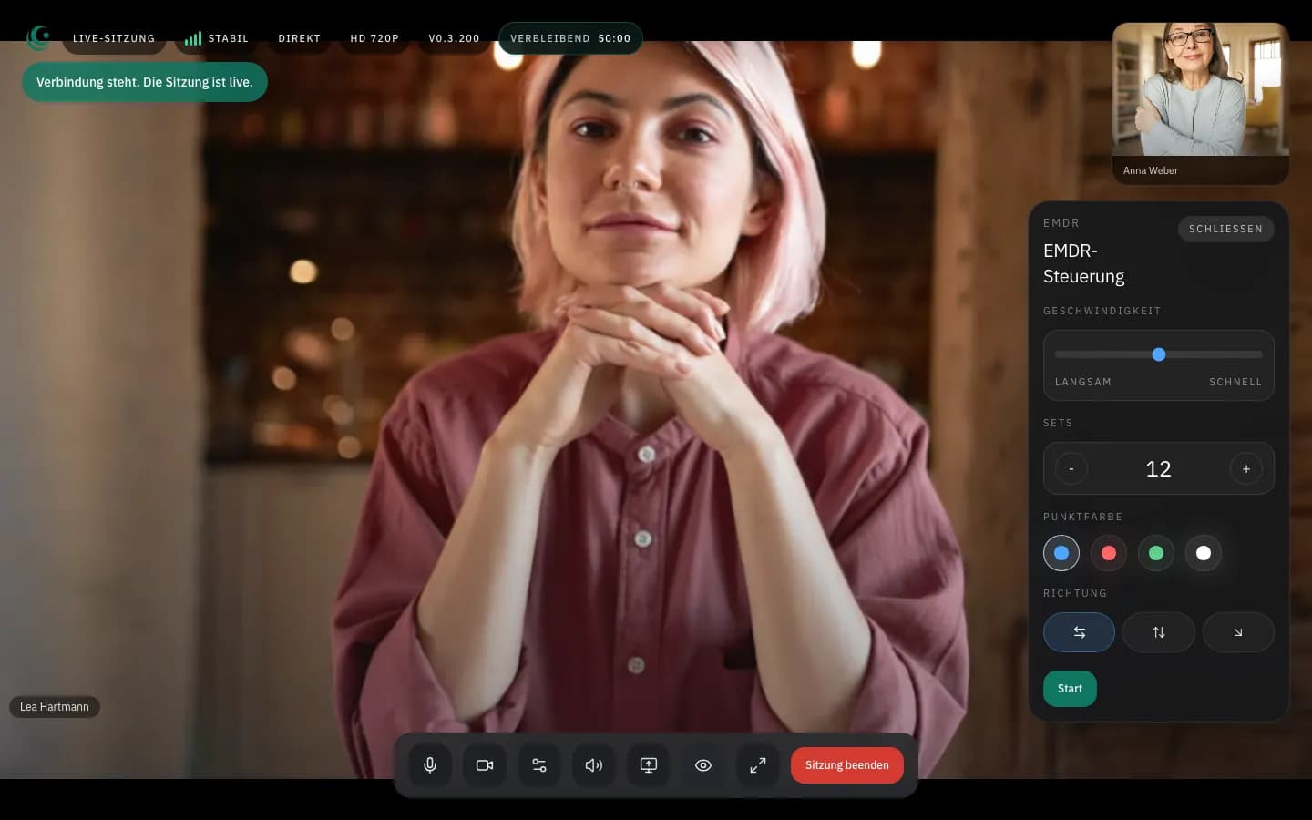 EMDR Steuerungsfeld in einer laufenden Lurena Sitzung